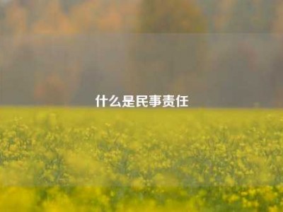 什么是民事责任