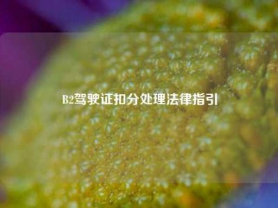 B2驾驶证扣分处理法律指引