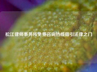 松江律师事务所免费咨询热线指引法律之门