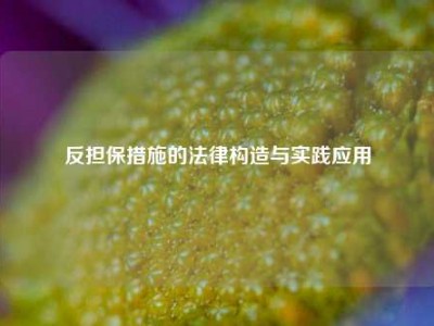 反担保措施的法律构造与实践应用