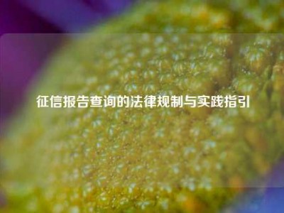 征信报告查询的法律规制与实践指引