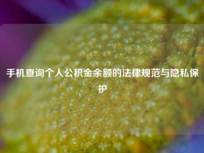 手机查询个人公积金余额的法律规范与隐私保护