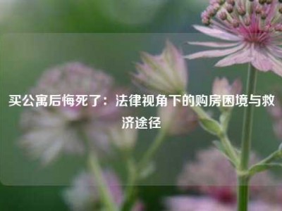 买公寓后悔死了：法律视角下的购房困境与救济途径