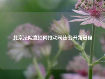 北京法院直播网推动司法公开新进程