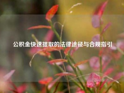 公积金快速提取的法律途径与合规指引