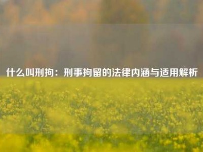 什么叫刑拘：刑事拘留的法律内涵与适用解析