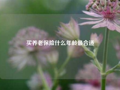 买养老保险什么年龄最合适