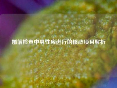 婚前检查中男性应进行的核心项目解析