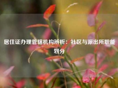 居住证办理管辖机构辨析：社区与派出所职能划分