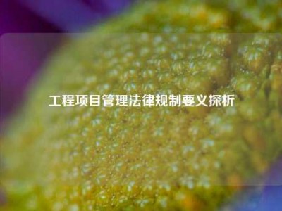 工程项目管理法律规制要义探析
