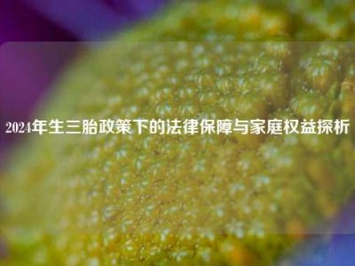 2024年生三胎政策下的法律保障与家庭权益探析
