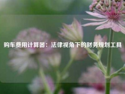 购车费用计算器：法律视角下的财务规划工具