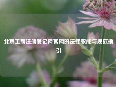 北京工商注册登记网官网的法律职能与规范指引