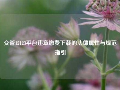 交管12123平台违章缴费下载的法律属性与规范指引