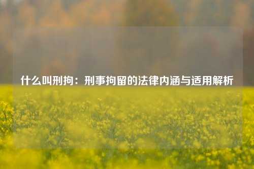 什么叫刑拘：刑事拘留的法律内涵与适用解析