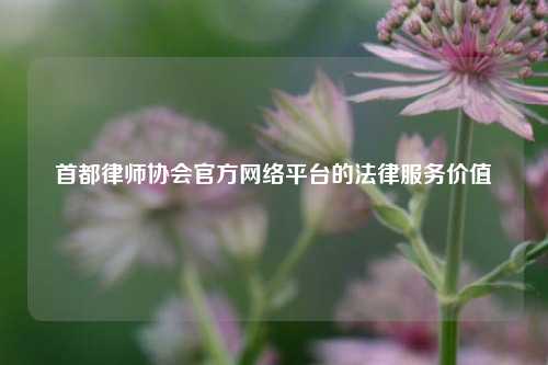 首都律师协会官方网络平台的法律服务价值