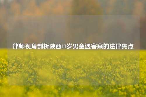 律师视角剖析陕西11岁男童遇害案的法律焦点