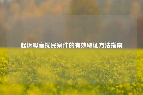 起诉噪音扰民案件的有效取证方法指南