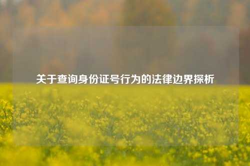 关于查询身份证号行为的法律边界探析