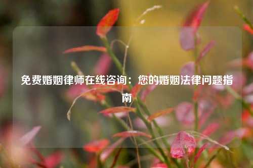 免费婚姻律师在线咨询：您的婚姻法律问题指南